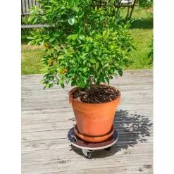 NORTENE Soldes Boutique -NORTENE Soldes Boutique 26516219 2