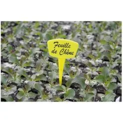 NORTENE étiquettes Planter 15cm /10