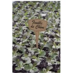 NORTENE étiqte Planter Miscanthus /10