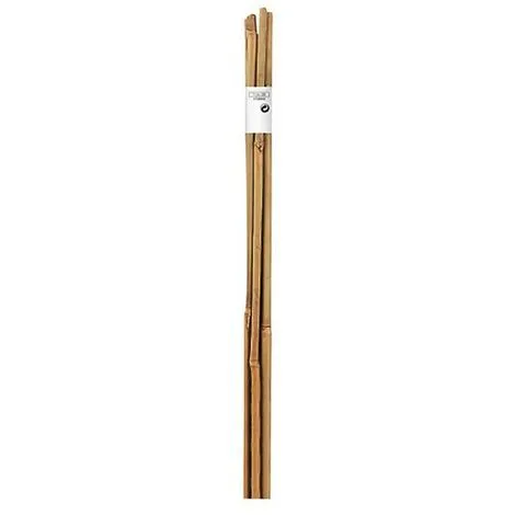 NORTENE - Tuteur Bambou 90cm ép.8/10mm Lot De 4 Pièces 1 NORTENE - Tuteur Bambou 90cm ép.8/10mm Lot De 4 Pièces
