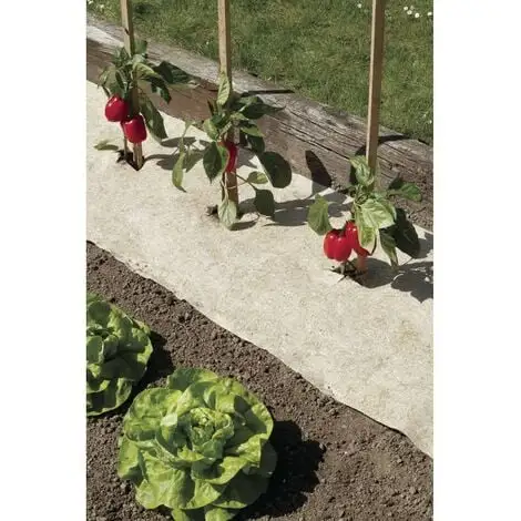 Nortene Chanvrelin 500 0,40x0,40m 1 Nortene Chanvrelin 500 0,40x0,40m