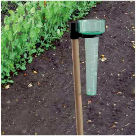 Pluviomètre Pluvio NORTENE 2 Pluviomètre Pluvio NORTENE – Image 2