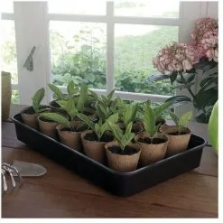 NORTENE - Mini Serre Rapid Grow Pour Semis 38x24xh.19cm -NORTENE Soldes Boutique 69777677 3