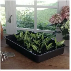 NORTENE - Mini Serre Rapid Grow Pour Semis 38x24xh.19cm -NORTENE Soldes Boutique 69777677 5