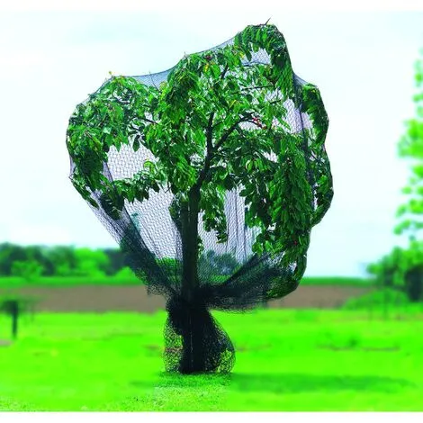 NORTENE Maille Noire Anti-oiseaux 8 X 10 M 2 NORTENE Maille Noire Anti-oiseaux 8 X 10 M – Image 2