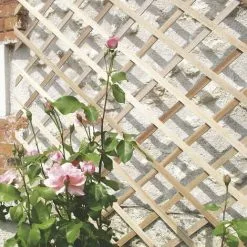NORTENE Treillis En Bois Trelliwood