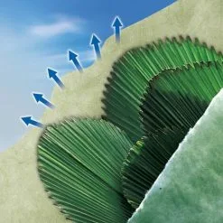 Nortene Voile D'hivernage Double épaisseur " Ouatex" - 1 X 10 M 7 Nortene Voile D'hivernage Double épaisseur " Ouatex" - 1 X 10 M -NORTENE Soldes Boutique 9026041 4