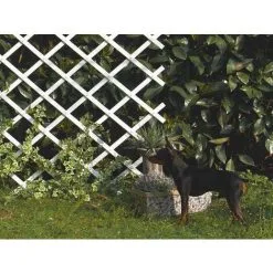 Nortene Treillis Extensible En Plastique "Trelliflex" 1 X 3 M - Blanc -NORTENE Soldes Boutique 9026071 3