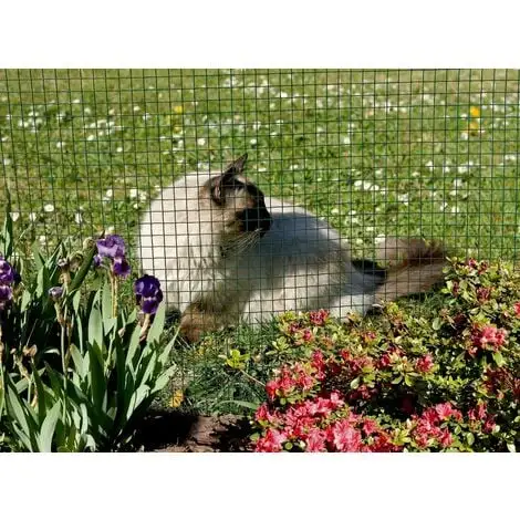 Nortene Grillage Métal Plastifié "Fensanet Plast 25" - 0,50 X 5 M - 25,4 X 25,4 X 0,85/1,2 Mm 1 Nortene Grillage Métal Plastifié "Fensanet Plast 25" - 0,50 X 5 M - 25,4 X 25,4 X 0,85/1,2 Mm