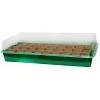 Nortene Mini Serre "Growing Kit" Avec Plaque Biodégradable - 6 X 6 Cm -NORTENE Soldes Boutique 9026208 1