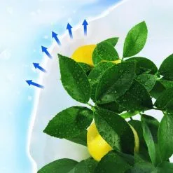 Nortene Housse D'hivernage "Hiversac" - 50 G/m2 -NORTENE Soldes Boutique 9026246 3