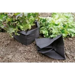 Nortene Lot De 12 Sacs De Protection Pour Salade "Bag Biocontrol"