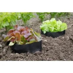 Nortene Lot De 12 Sacs De Protection Pour Salade "Bag Biocontrol" -NORTENE Soldes Boutique 9026269 3
